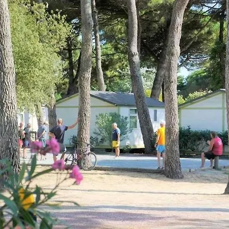 Parque de Campismo ZEcamping 4 étoiles sous les pins - Plage à 600 m - Piscine couverte Le Bois-Plage-en-Ré