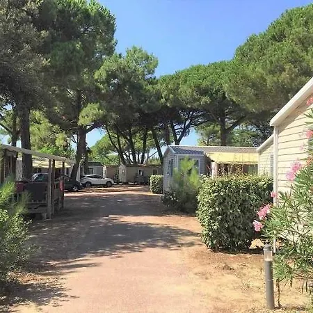 Campingplatz Zecamping 4 Etoiles Sous Les Pins - A 600 M - Piscine Couverte Le Bois-Plage-en-Ré