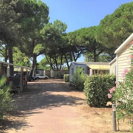 ZEcamping 4 étoiles sous les pins - Plage à 600 m - Piscine couverte 4* Le Bois-Plage-en-Ré