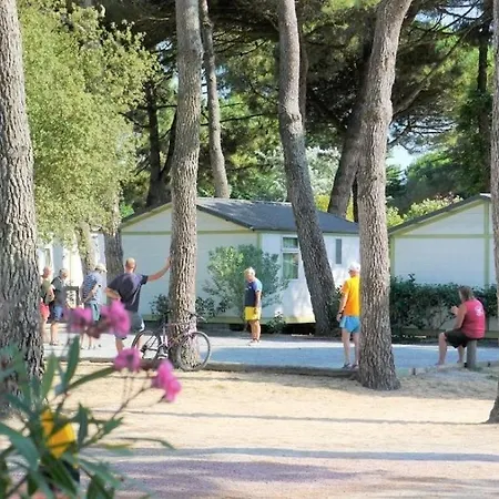 ZEcamping 4 étoiles sous les pins - Plage à 600 m - Piscine couverte Parque de Campismo