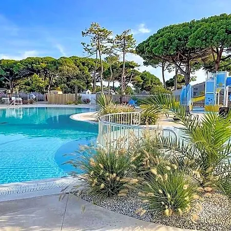 Zecamping 4 Etoiles 600m Espace Aquatique Chiens Acceptes Animations Camping