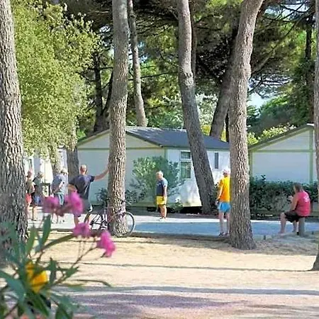 Zecamping 4 Etoiles 600m Espace Aquatique Chiens Acceptes Animations Camping 4*