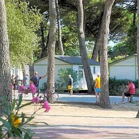 Camping Zecamping 4 Etoiles 600m Espace Aquatique Chiens Acceptes Animations