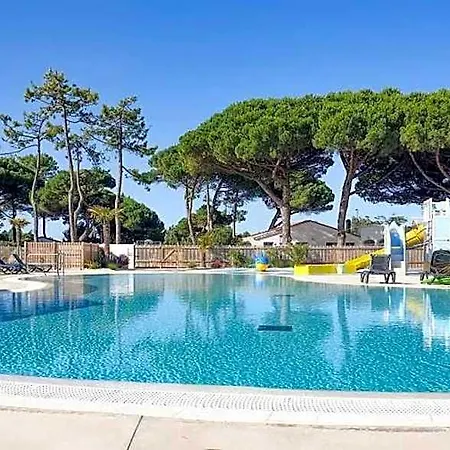 Camping Zecamping 4 Etoiles 600m Espace Aquatique Chiens Acceptes Animations