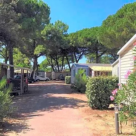Zecamping 4 Etoiles 600m Espace Aquatique Chiens Acceptes Animations