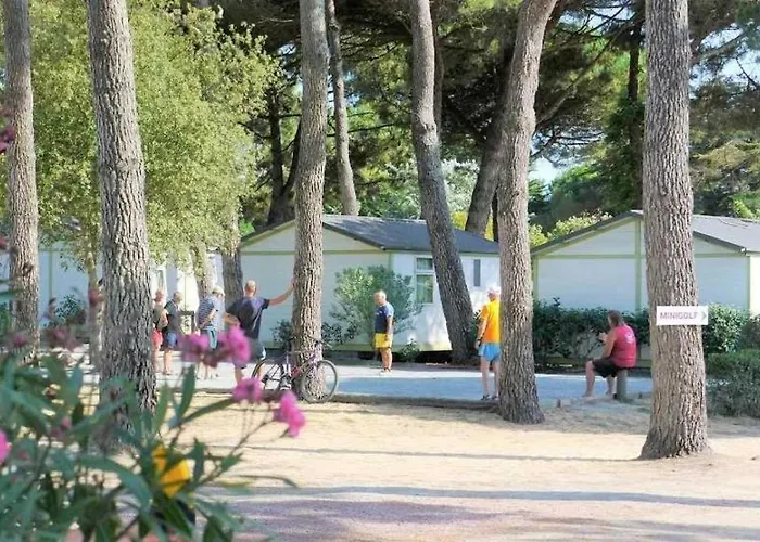 Camping 4 étoiles - Parc Aquatique - Eeia0i Le Bois-Plage-en-Ré