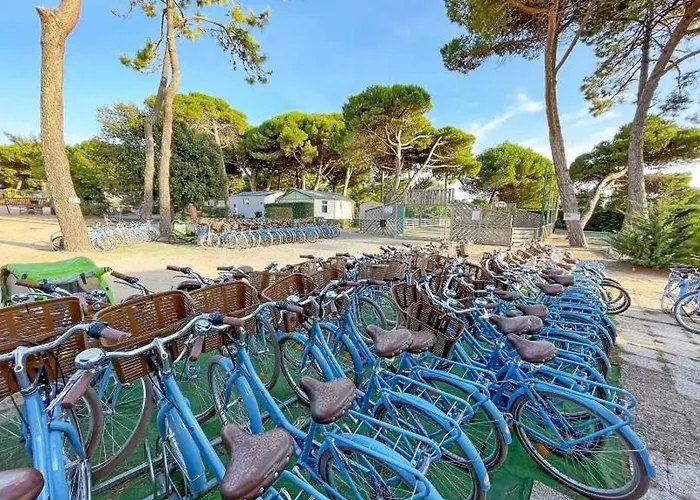 4 étoiles - Parc Aquatique - Eeia0i Camping Le Bois-Plage-en-Ré