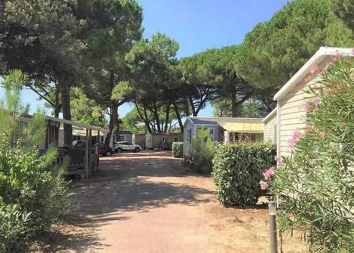 Camping 4 étoiles - Parc Aquatique - Eeia0i Le Bois-Plage-en-Ré